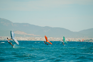 29062024-29062024-_DSC8546