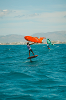 29062024-29062024-_DSC8596