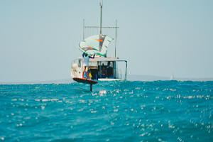 29062024-29062024-_DSC8721