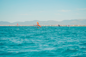 29062024-29062024-_DSC8856