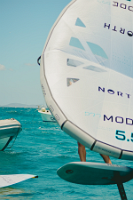 29062024-29062024-_DSC8931